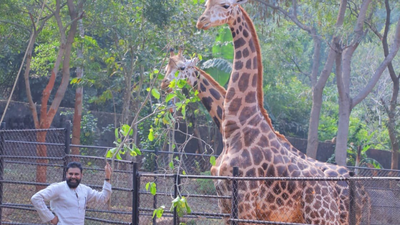 Pawan Kalyan celebrates mother Anjana Devi’s birthday with animals; adopts two giraffes