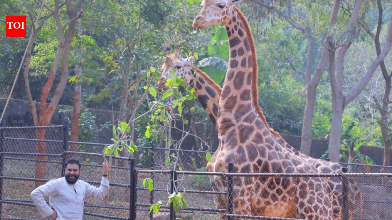 Pawan Kalyan celebrates mother Anjana Devi’s birthday with animals; adopts two giraffes