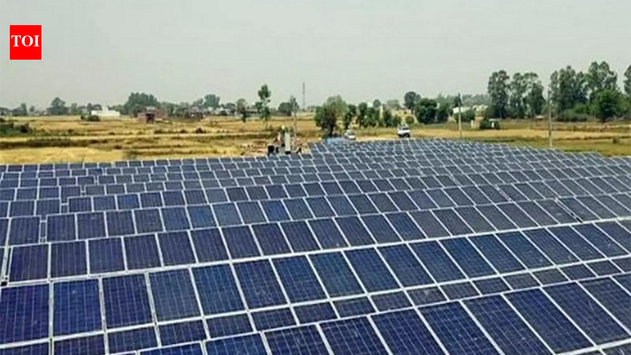 Economic survey flags cost, land and storage bottlenecks as India accelerates renewable energy push