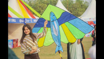 Fighter planes to flying jokers: Kites animate Delhi skies