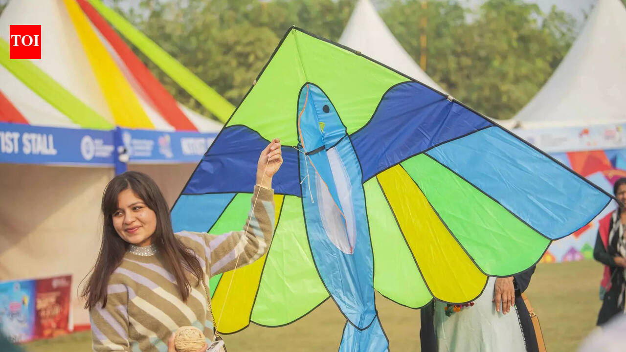 Fighter planes to flying jokers: Kites animate Delhi skies