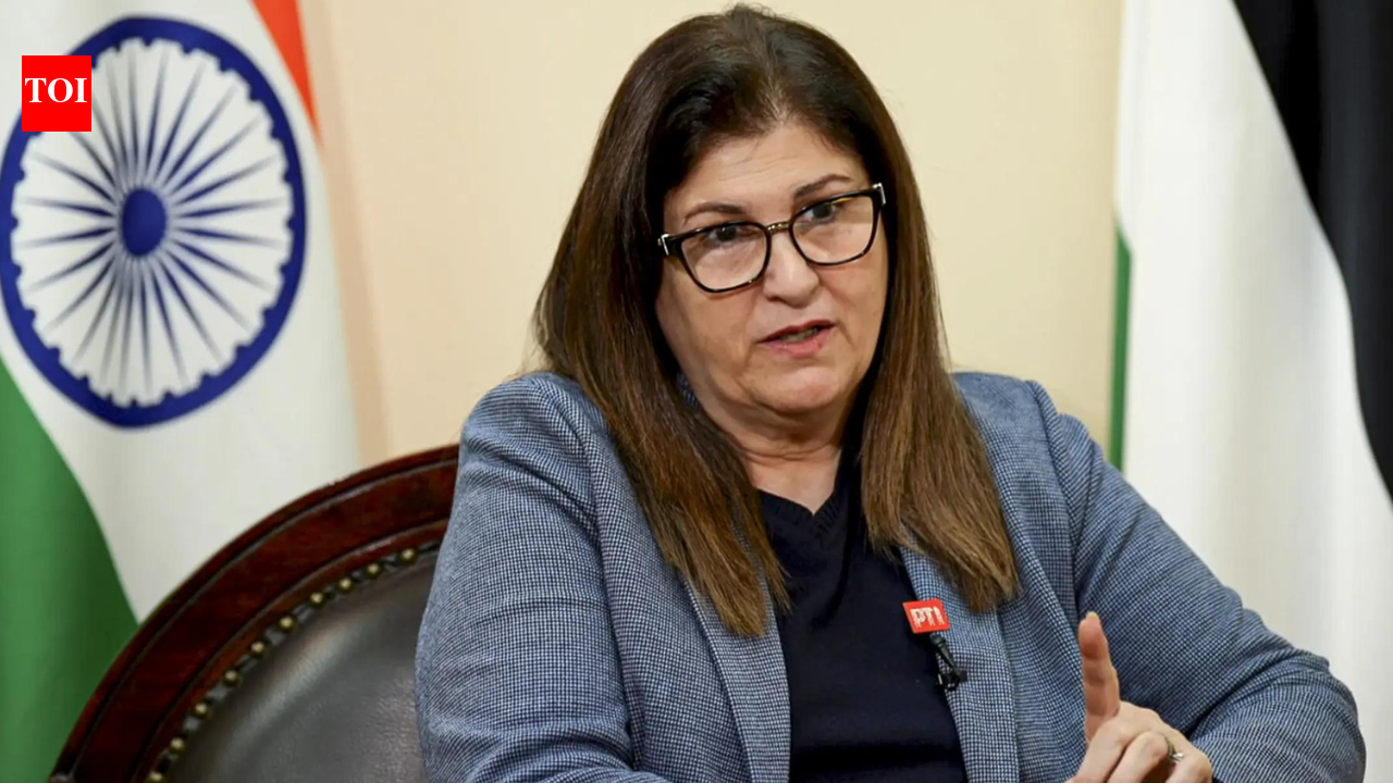 'Understanding of peace': What Palestine FM said on Gaza Peace Board invite for India