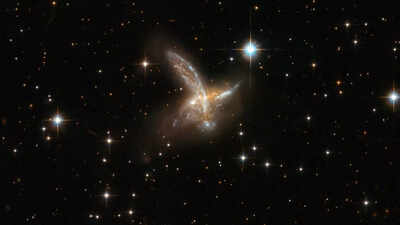 This viral ‘bird in space’ image from NASA’s Hubble Space Telescope is a galaxy collision | Watch