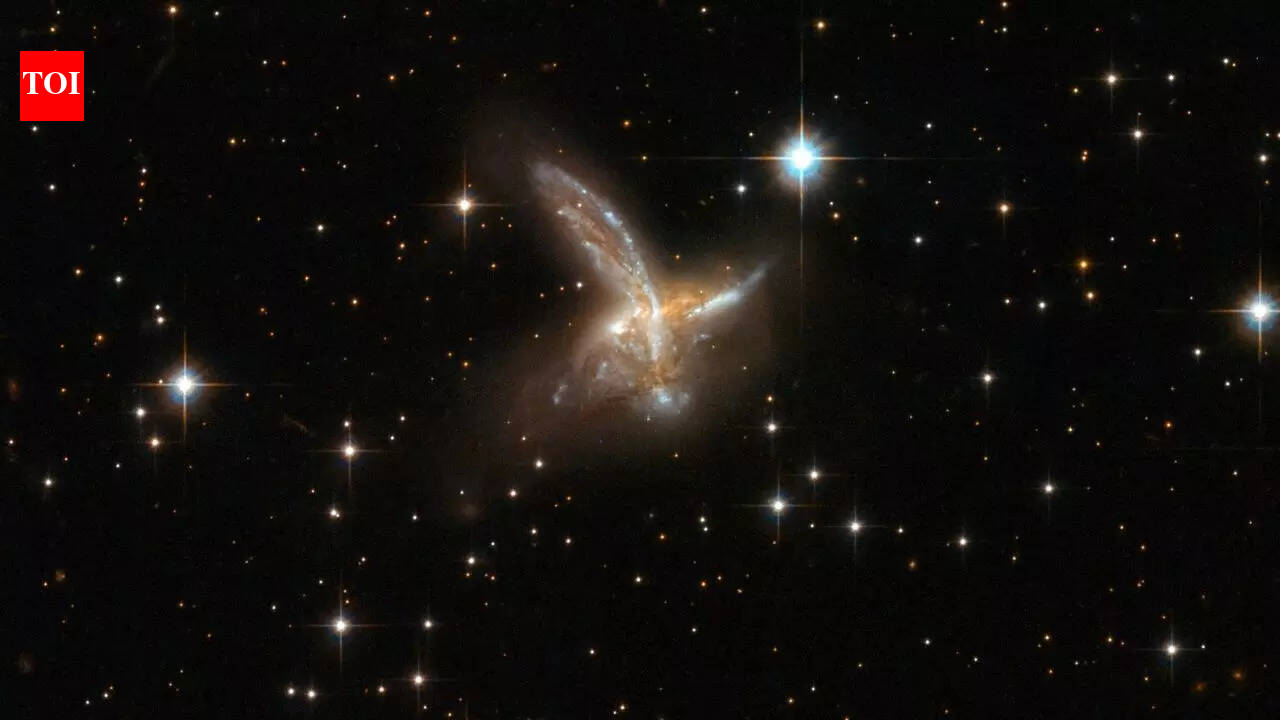 This viral ‘bird in space’ image from NASA’s Hubble Space Telescope is a galaxy collision | Watch