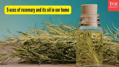 5 uses of rosemary and its oil in our home and garden