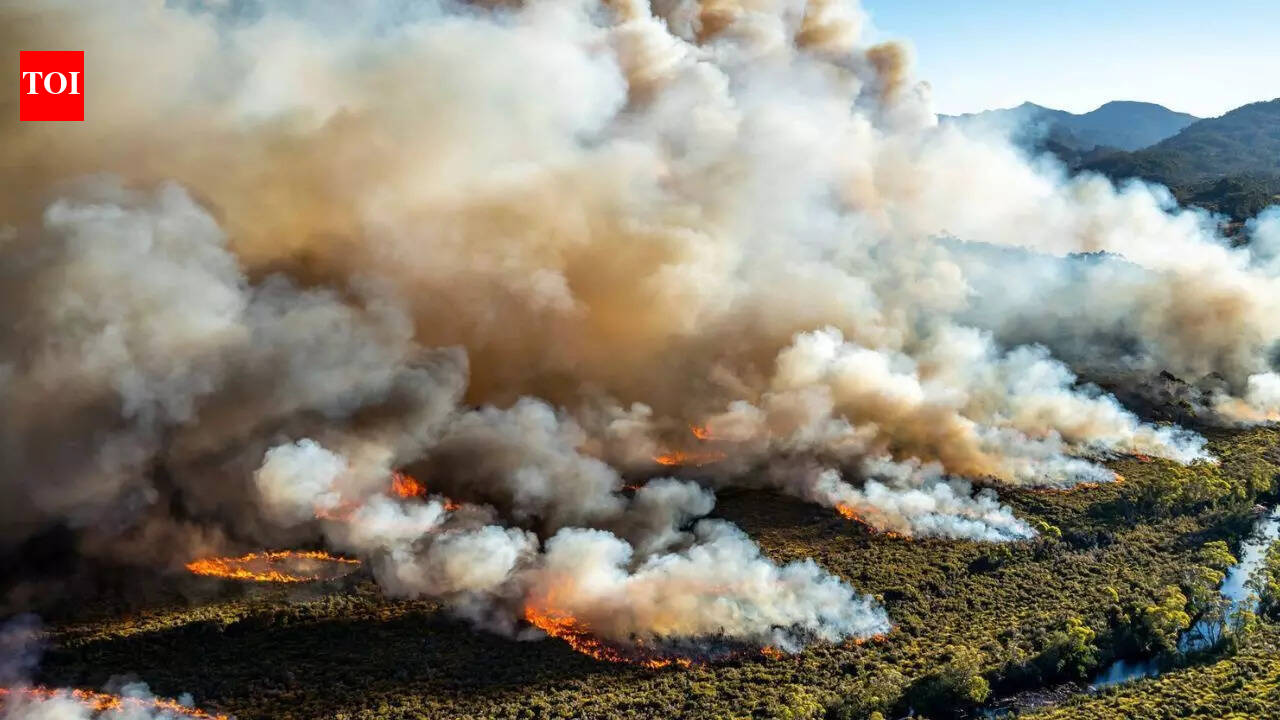 Australia hit by severe heatwave with burning across places nearing 50 C and thousands without power; here’s the reason