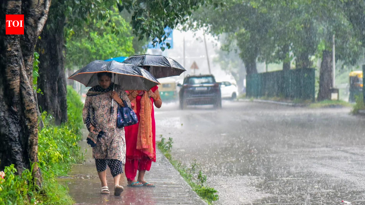 Fixing footpaths alone won’t make cities liveable: Economic Survey