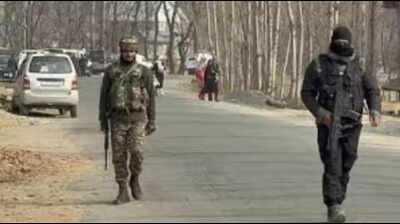 Operation Trashi-I enters Day 13, net suspended in Kishtwar