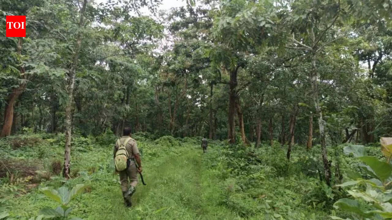 Climate woe: Thorny vegetation overruns evergreen Ghat forests