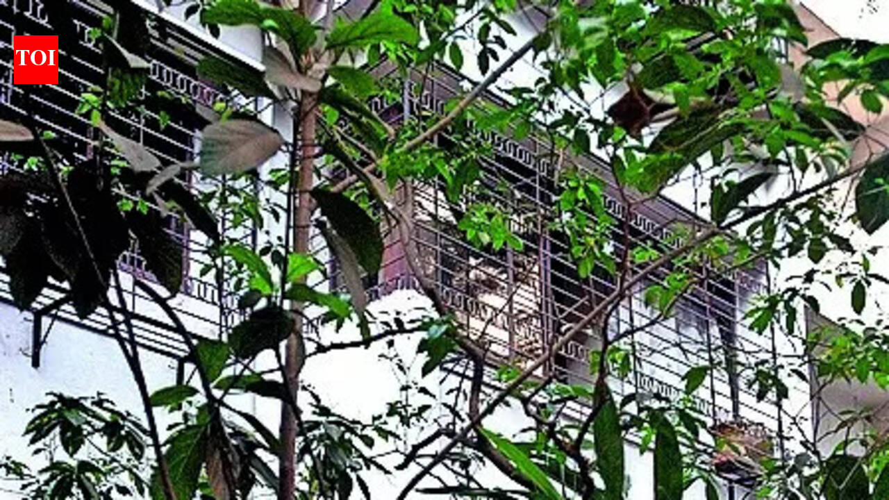 Savarkar home fails age test for nat’l monument tag, ASI tells HC