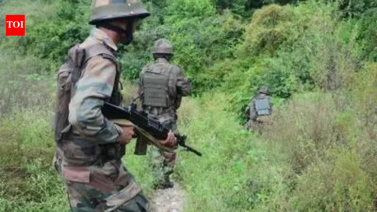 Op Trashi-I Day 14: Security forces make contact with terrorists in J&K's Dolgam