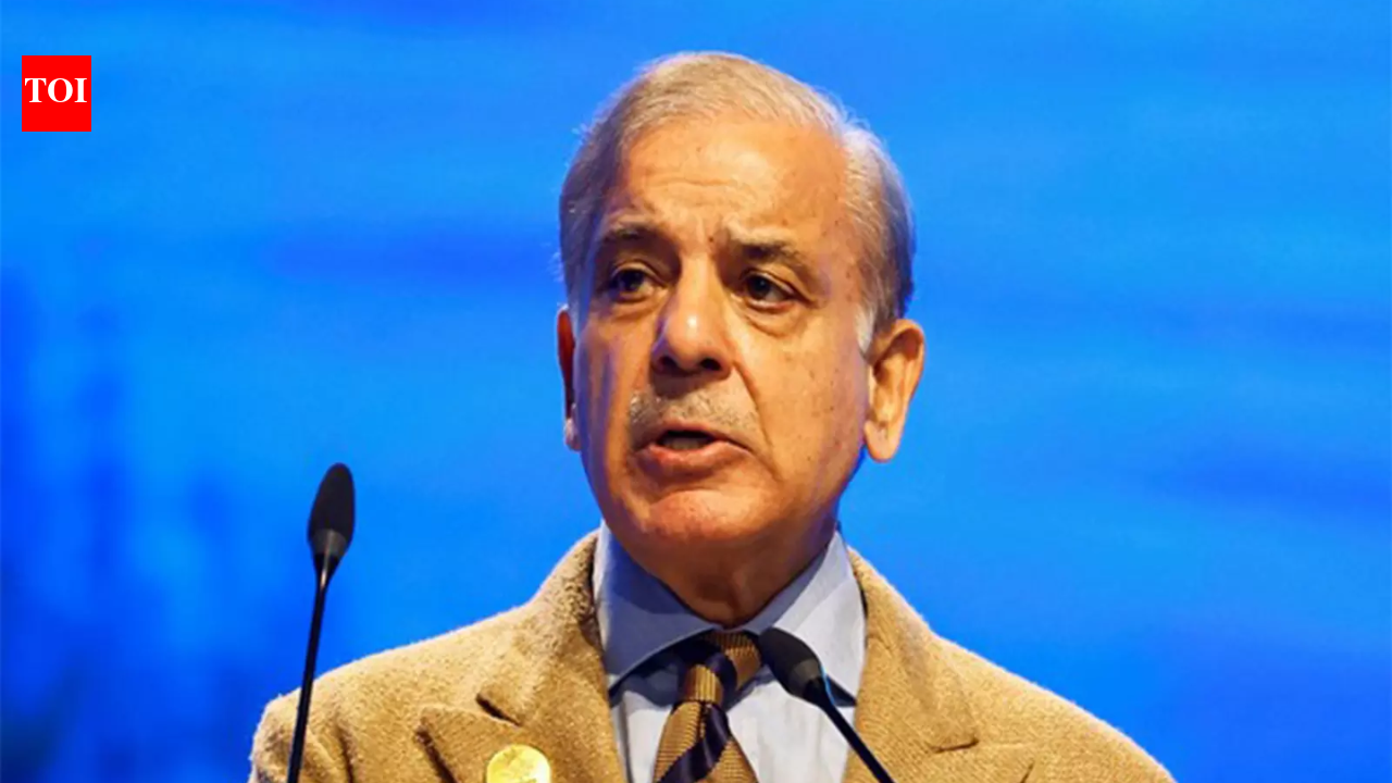 Shehbaz Sharif, Asim Munir 'quitely' visited countries to seek loans for Pakistan; paid with 'lowered self-esteem'