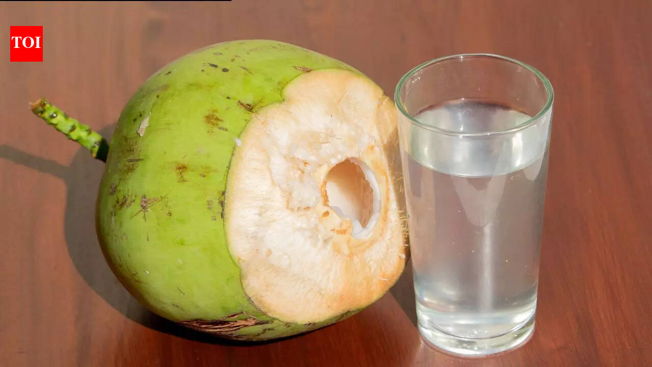 How nature fills coconuts with fresh water before they even fall from the tree