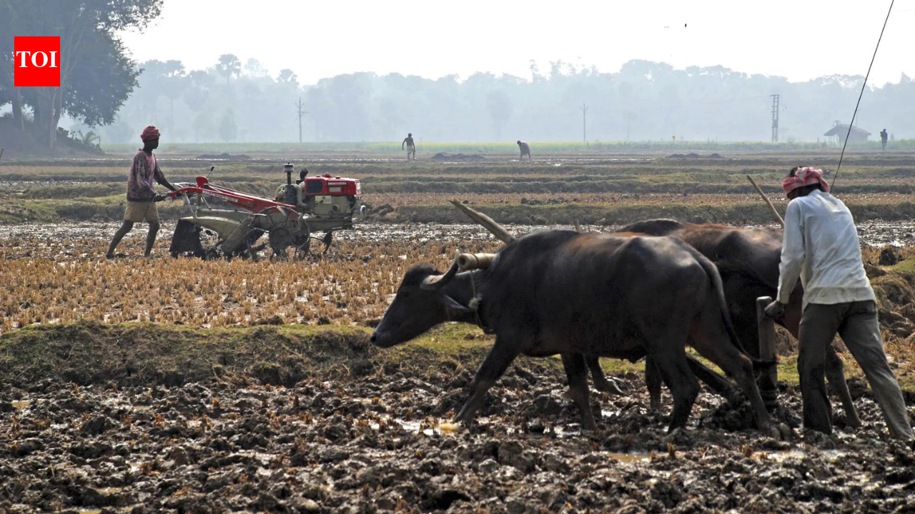 Union Budget 2026: Economists outline growth priorities, expect focus on jobs, farmers, MSMEs
