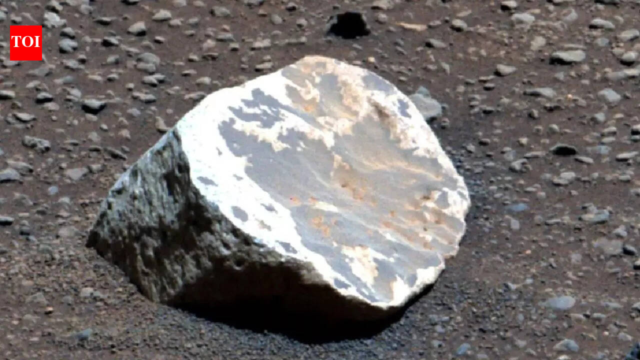 NASA’s Perseverance discovers white kaolinite rocks on Mars, revealing millions of years of rainfall and wet conditions