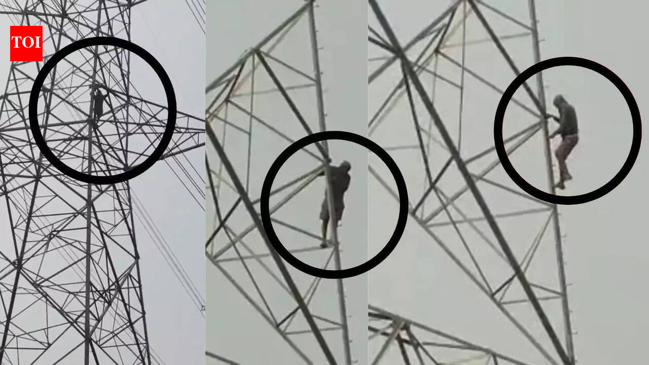 Farmer climbs high-tension tower over paddy token delay in Chhattisgarh