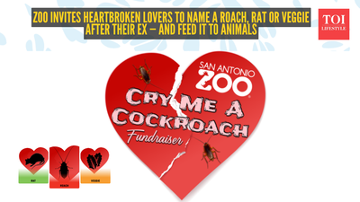 ‘Eat, Prey, Love’: Zoo invites heartbroken lovers to name a roach, rat or veggie after their ex — and feed it to animals