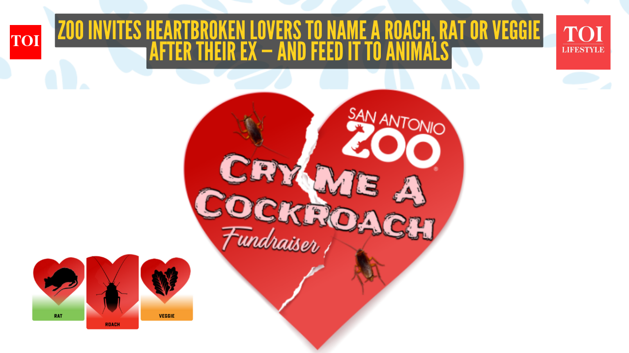 ‘Eat, Prey, Love’: Zoo invites heartbroken lovers to name a roach, rat or veggie after their ex — and feed it to animals