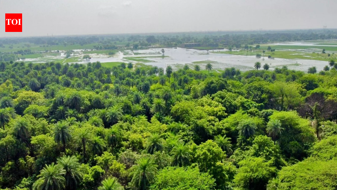 Environment minister Bhupender Yadav announces addition of two new wetlands to Ramsar List, ahead of World Wetlands Day 2026