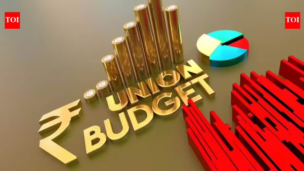Budget 2026 glossary explained: From deficit to disinvestment, key terms decoded to understand Budget numbers and policies
