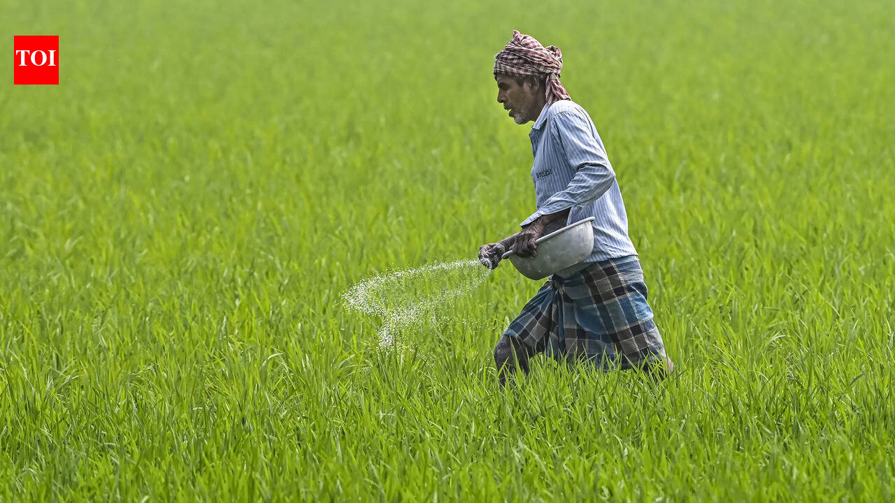 Quality fertilizers key to good crop yield: Officials