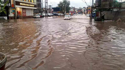 Punjab, Haryana, Himachal defy forecast with excess Jan rainfall