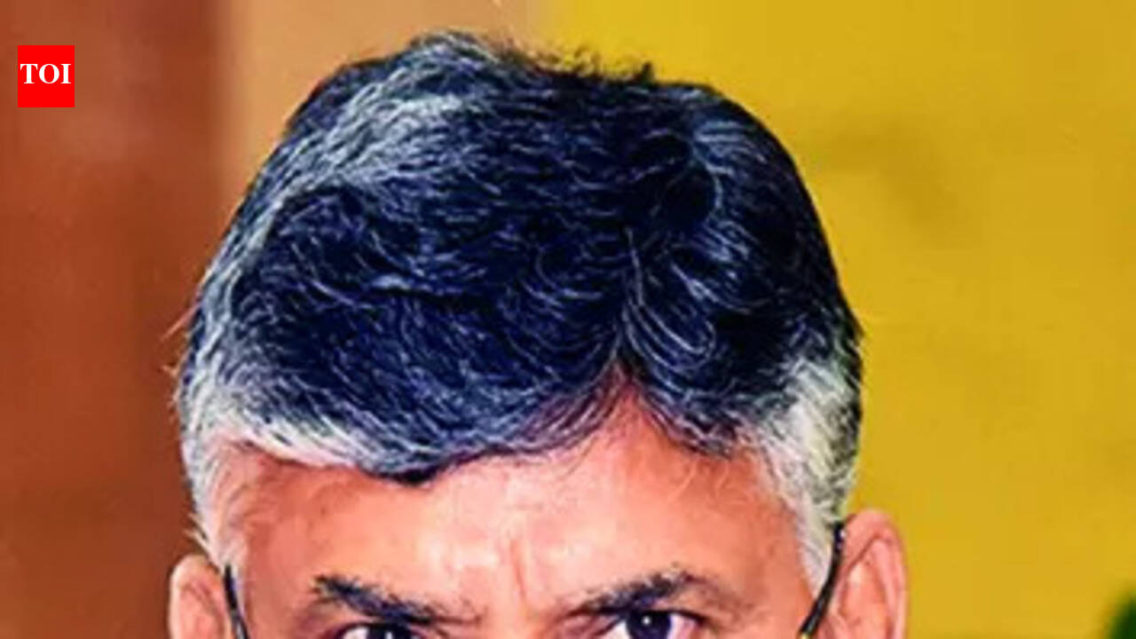 ED clears Naidu of money laundering in AP skill scam