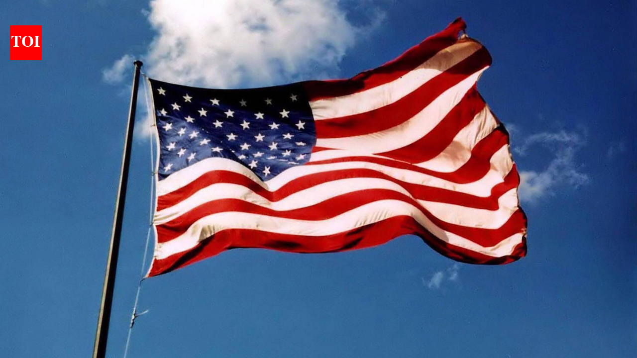 'My team lead is Indian...': US software engineer slams MAGA supporter for calling Indian workers 'incompetent'