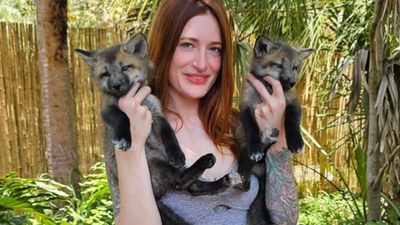 Save A Fox YouTube channel confirms passing of Finnegan the Fox months after his death