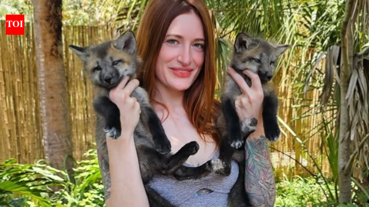 Save A Fox YouTube channel confirms passing of Finnegan the Fox months after his death