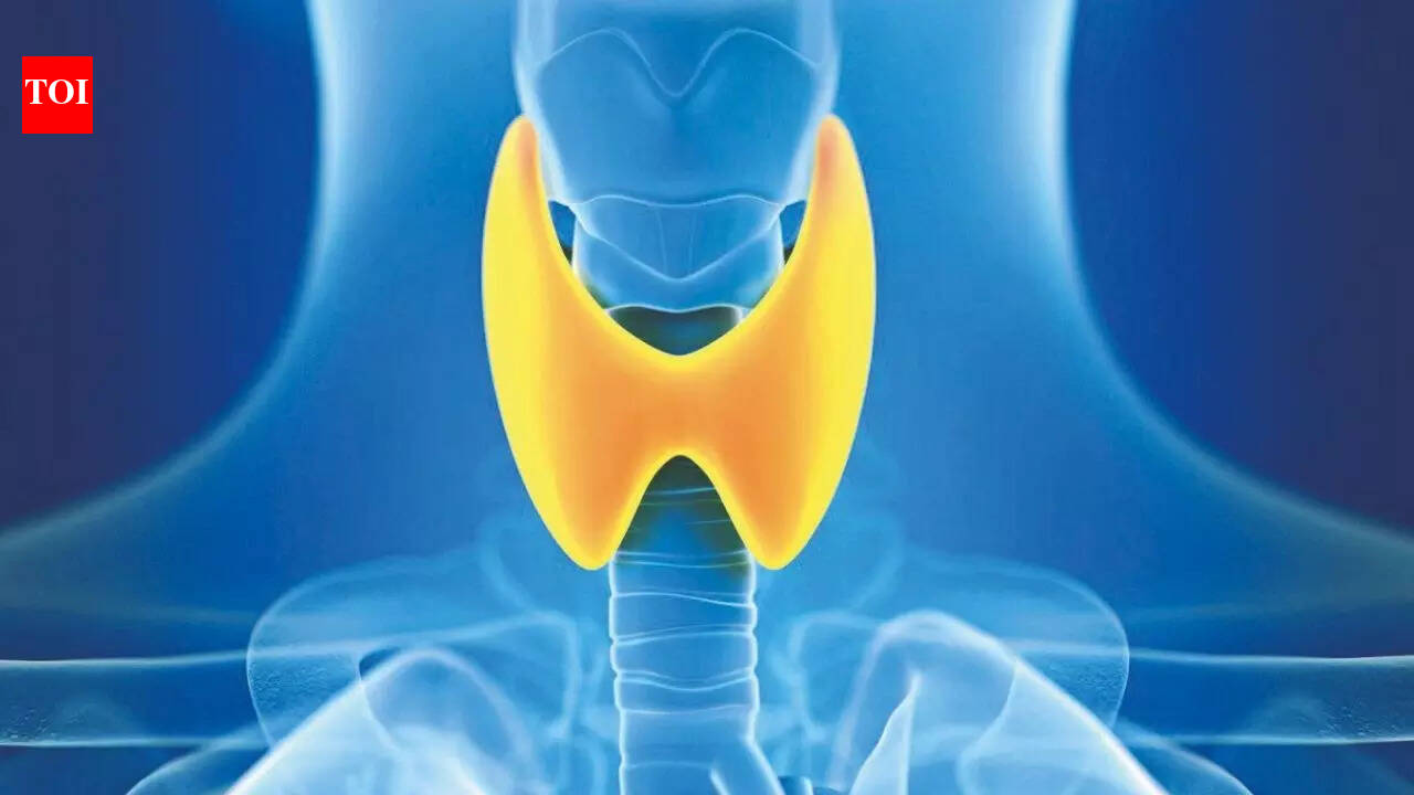 Thyroid health: Why hormones alone may not be enough