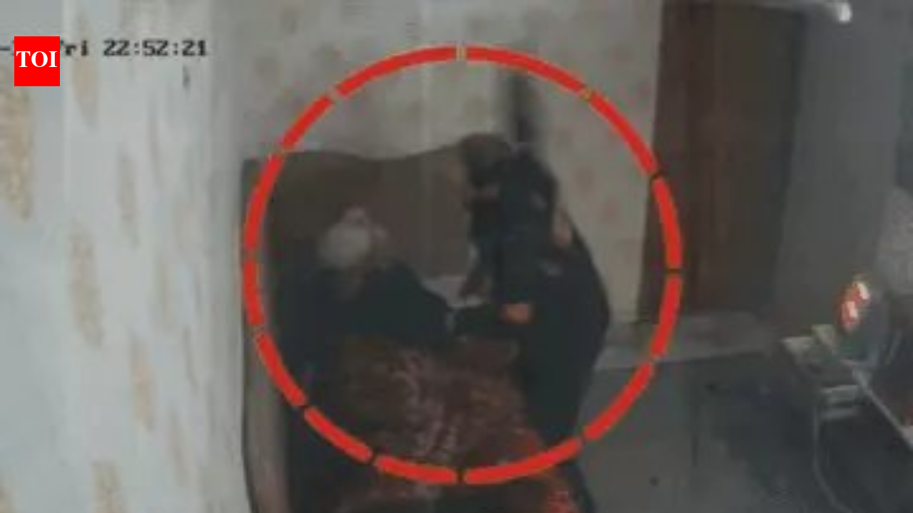 US-based woman watches mother being thrashed in Ghaziabad home, sends brother to jail