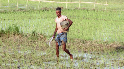 Slightly warm and dry Feb may impact Rabi crops, IMD predicts while releasing monthly temp and rainfall outlook