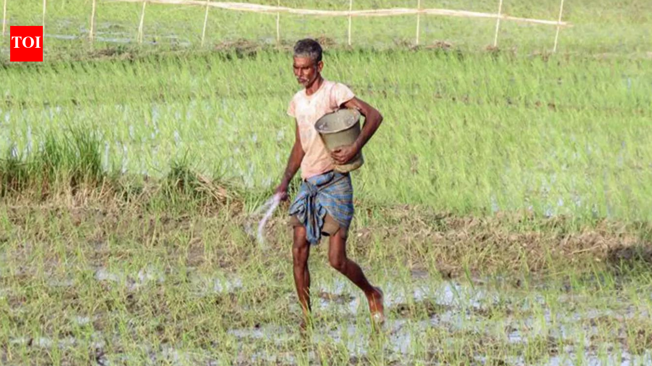 Slightly warm and dry Feb may impact Rabi crops, IMD predicts while releasing monthly temp and rainfall outlook