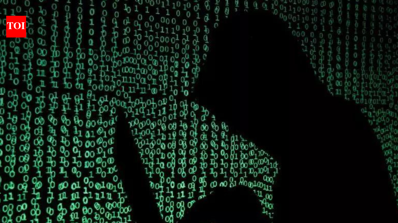 Cyber cons hack Lucknow man’s phone, use credit card to buy stuff on grocery app