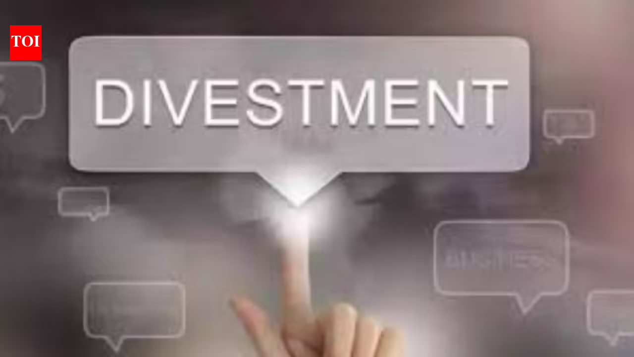 Union Budget targets Rs 80,000 crore through divestment and asset sales