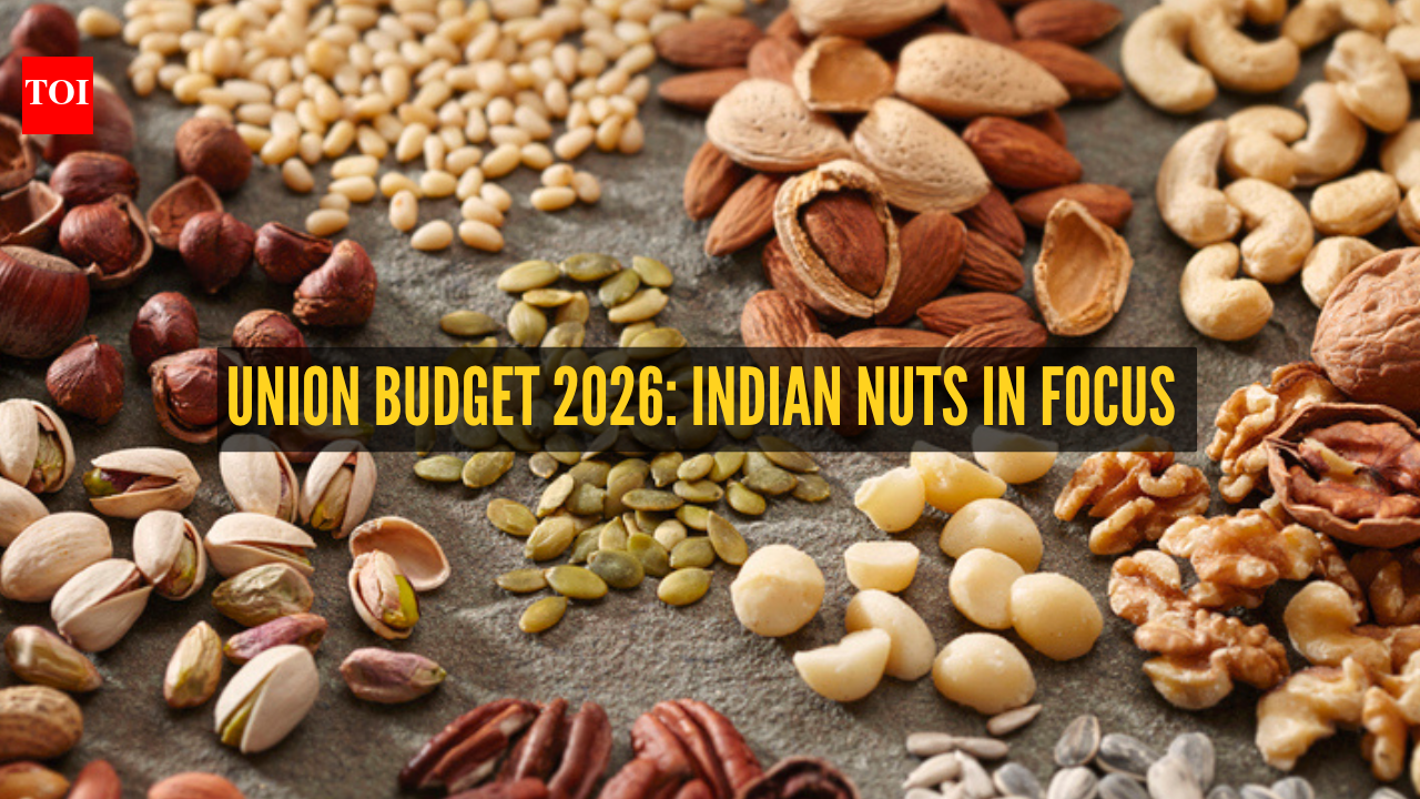 Union Budget 2026: 6 nuts that got attention of the government and why