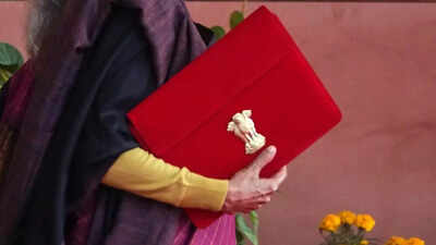 Budget 2026 gives a boost to mental healthcare: North India to get its own NIMHANS