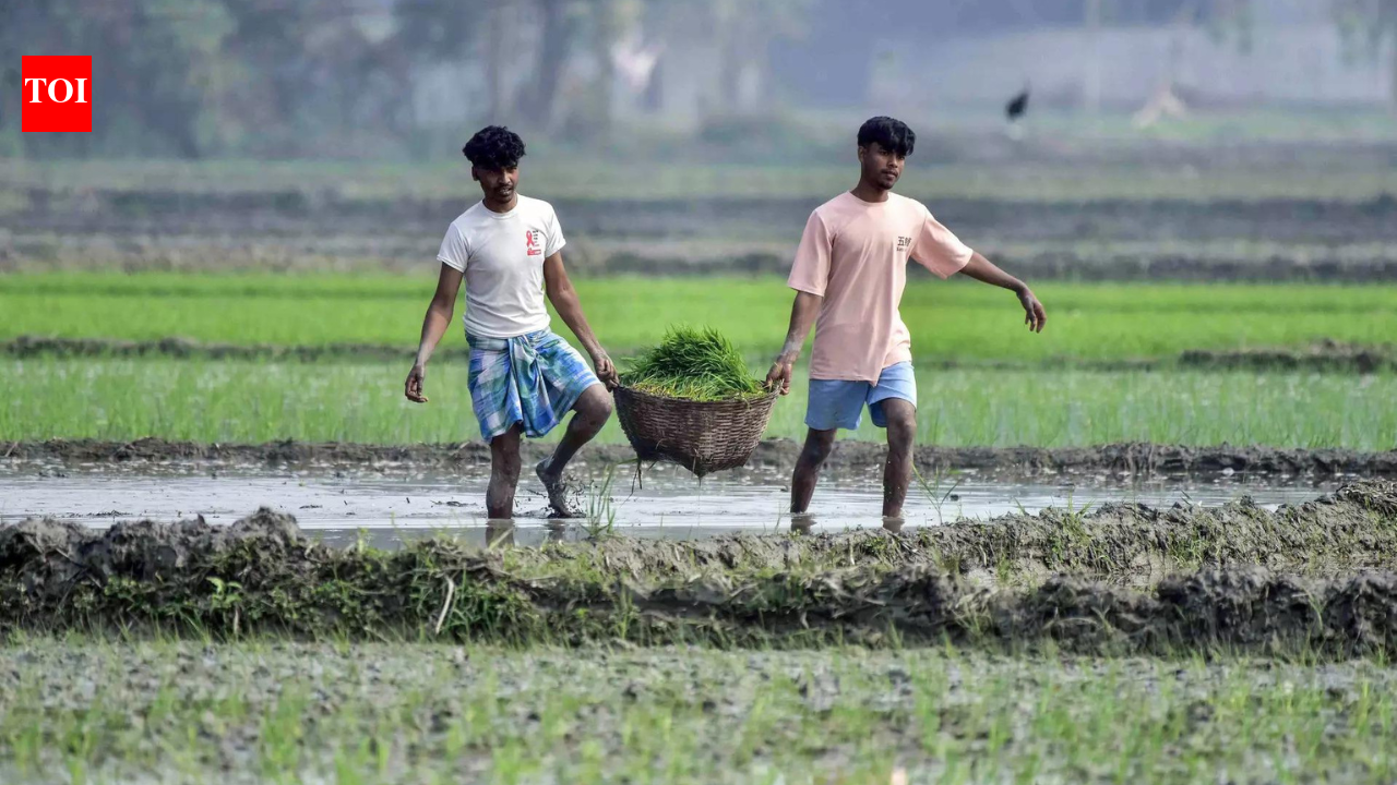 Union Budget 2026: Government to launch multi-lingual AI tool Bharat-VISTAAR for farmers