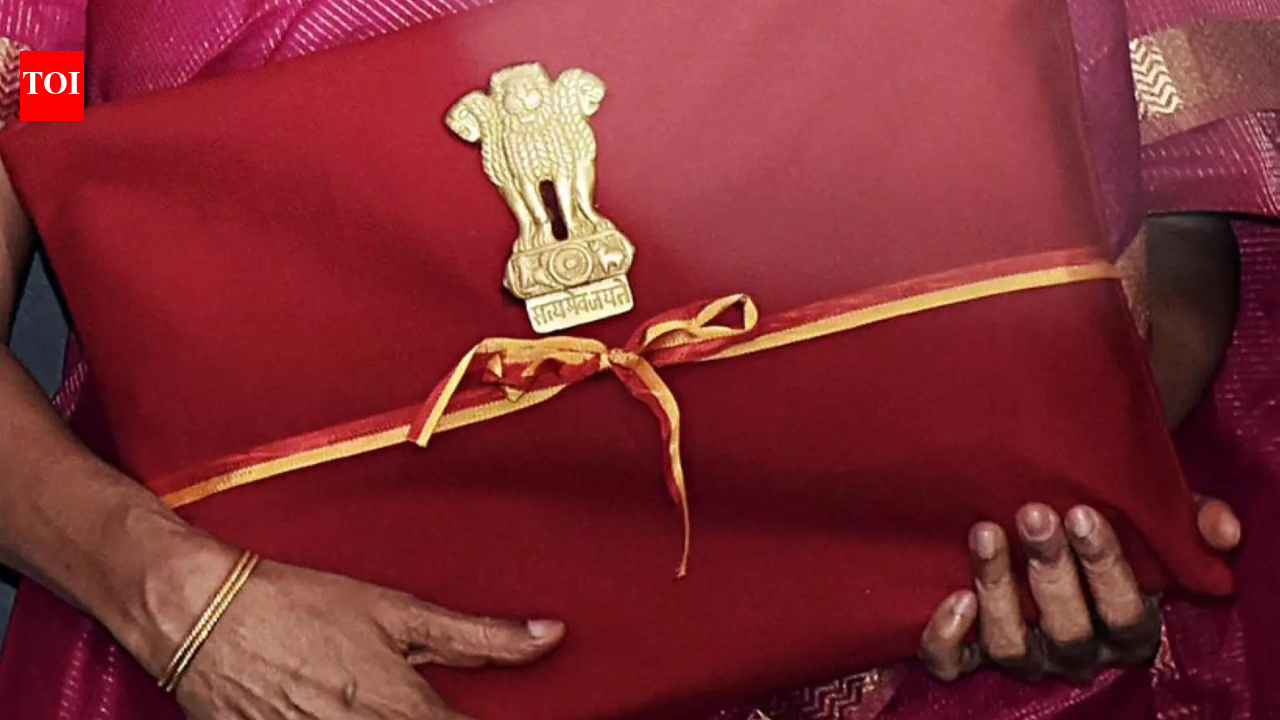 University townships, girls’ hostels: Budget channels Rs 1.39 lakh crore into education