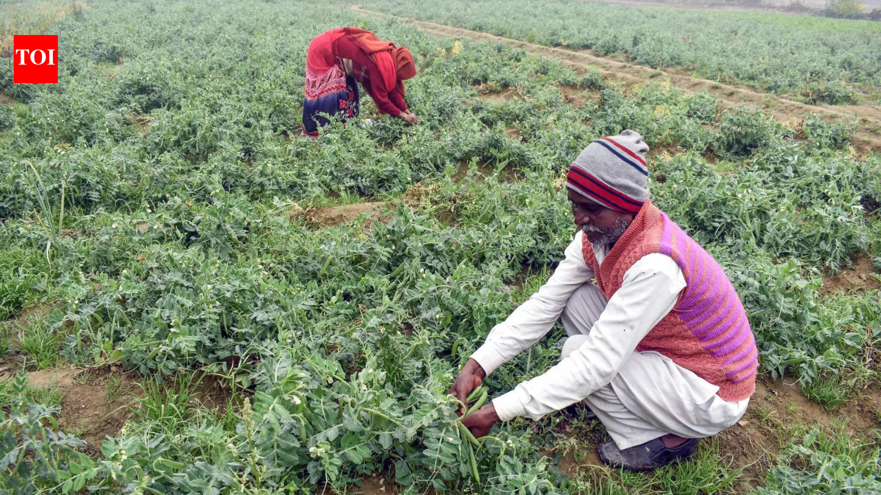 Farmers left empty-handed despite Budget hopes: BKU Charuni