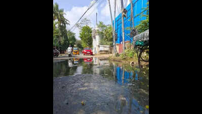 Stagnant sewage in Santhome stretch; officials promise action