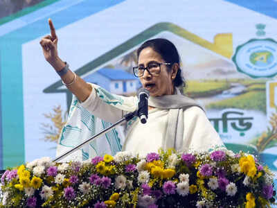 Mamata Banerjee moves Supreme Court against West Bengal SIR; Election Commission and state poll panel made parties