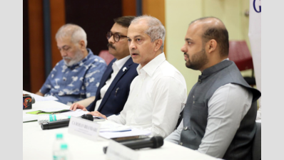 Govt must tap allocations to benefit state econ: Goa Inc