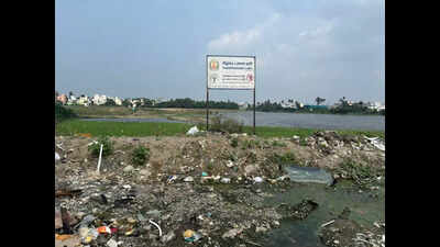 Tambaram lakes bear brunt of unchecked sewage