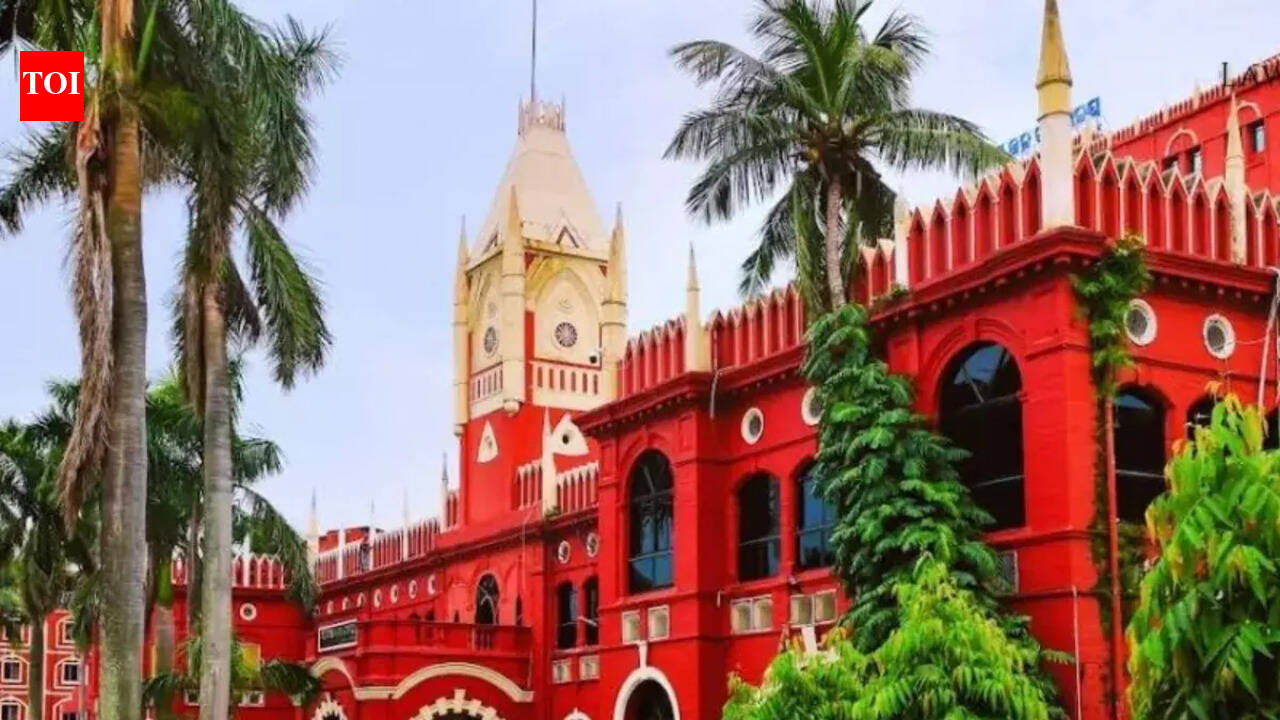 Orissa high court bins PIL over public hearing on coal tar unit