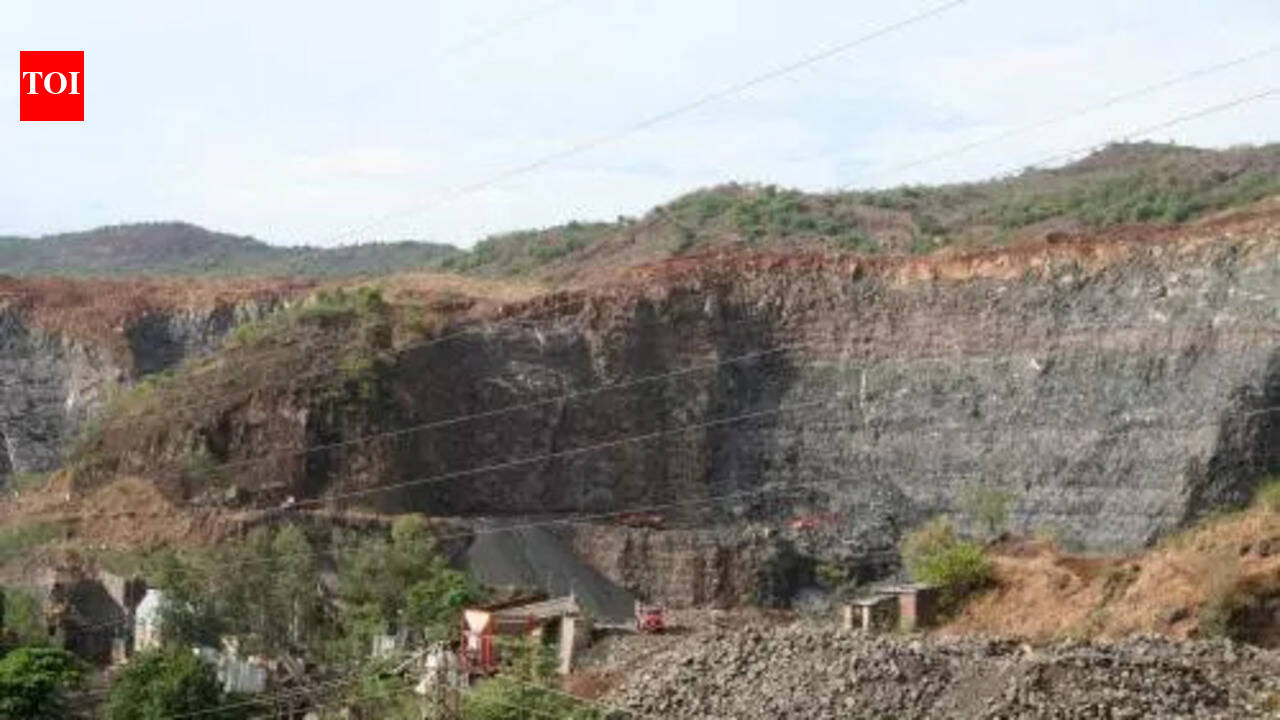 Keep vigil over quarrying in Radhapuram, HC tells officials | Madurai ...