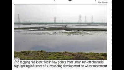 Broken drainage links and rampant encroachments: Survey finds Najafgarh jheel under ecological stress