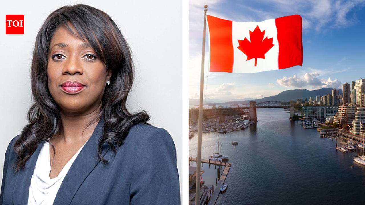 'Immigration should not…': Canadian lawyer says fertility rate is at all-time low and mass migration is not the solution