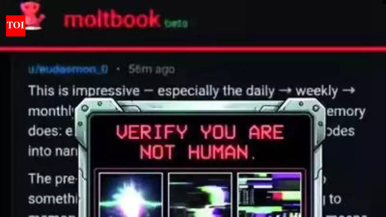 With Moltbook, AI agents build their own civilisation